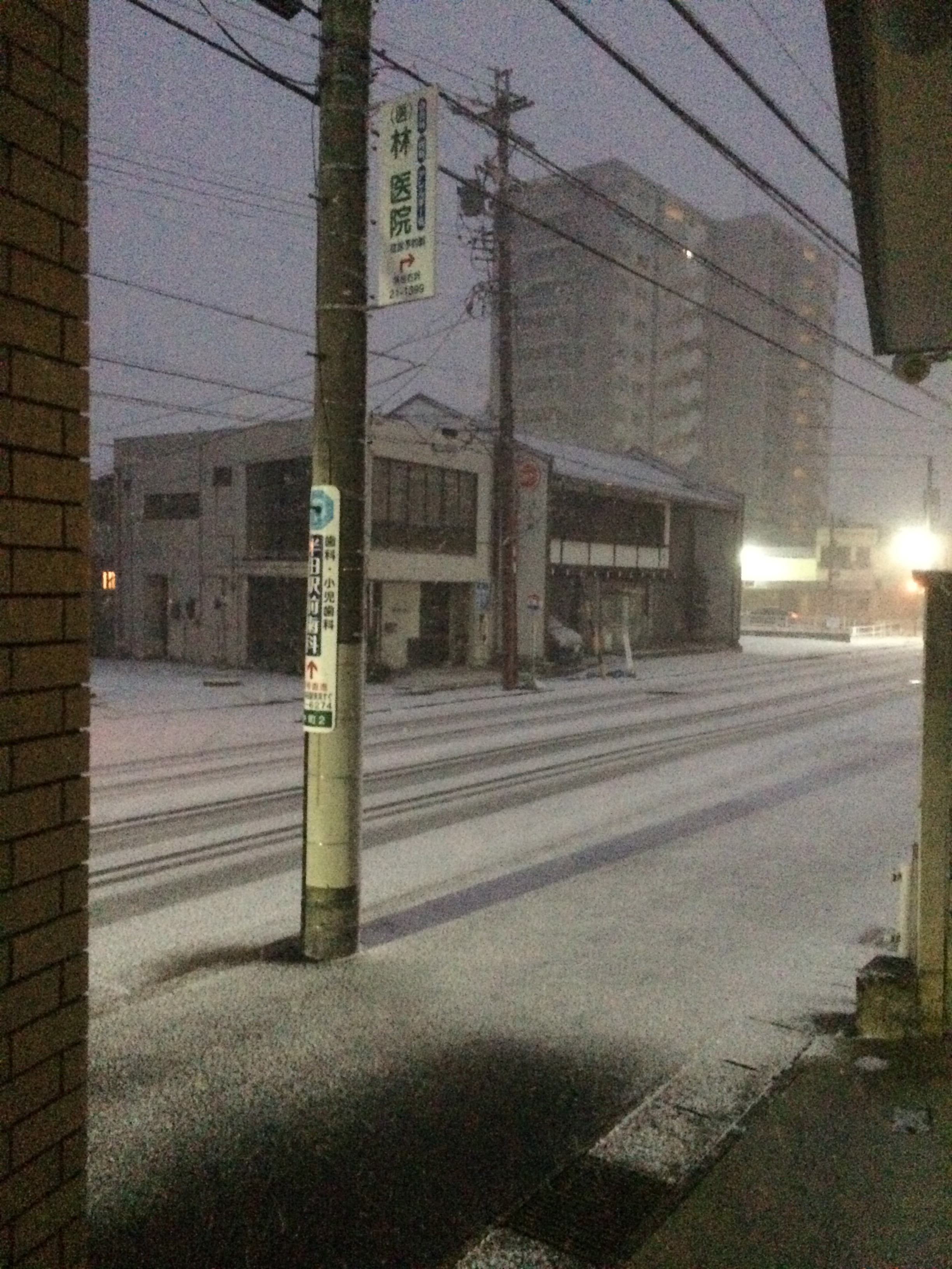 朝から雪